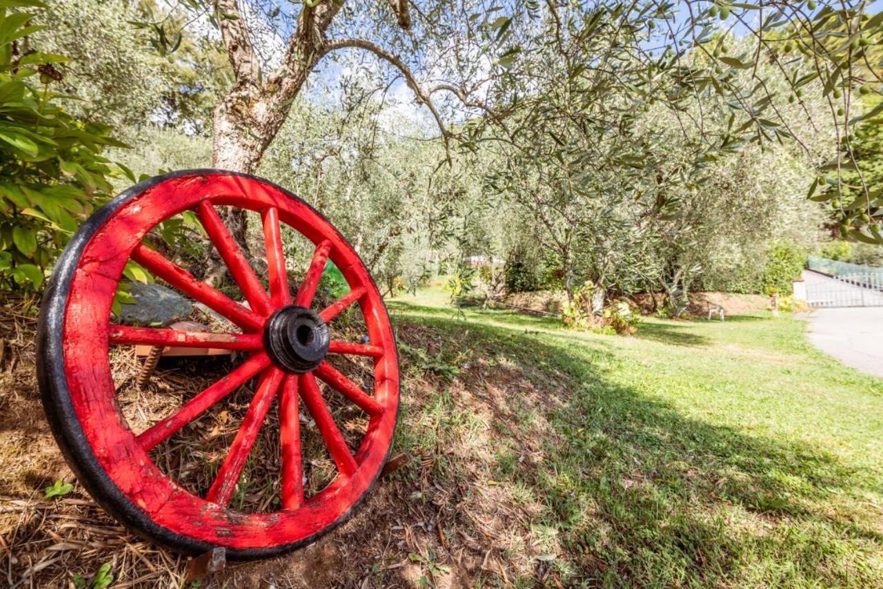 Al Giardino Degli Ulivi Vendégház Santa Maria Albiano Kültér fotó