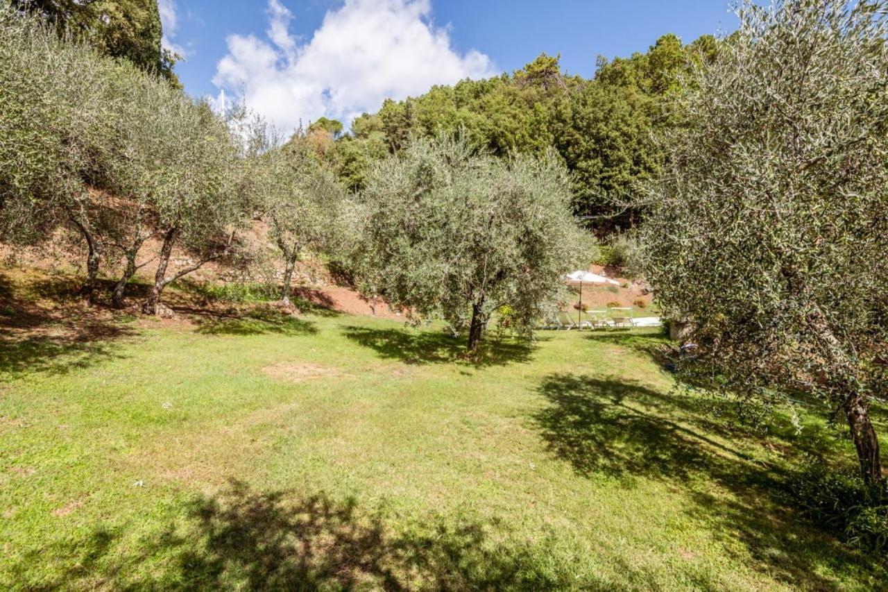 Al Giardino Degli Ulivi Vendégház Santa Maria Albiano Kültér fotó